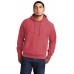 Champion  Reverse Weave  Garment-Dyed Hooded Sweatshirt. GDS101