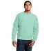 Champion ® Reverse Weave ® Garment-Dyed Crewneck Sweatshirt. GDS149