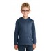 Port & CompanyYouth Performance Fleece Pullover Hooded Sweatshirt. PC590YH